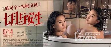 国产女同调教,探索情感与成长的独特旅程